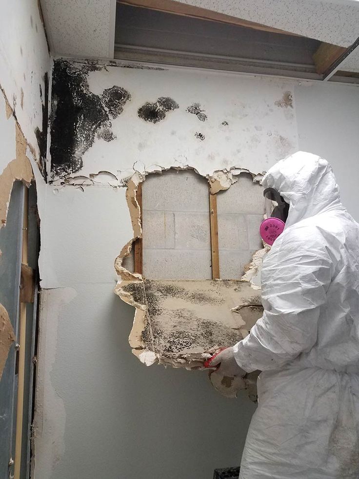 Technician removing mold-affected drywall